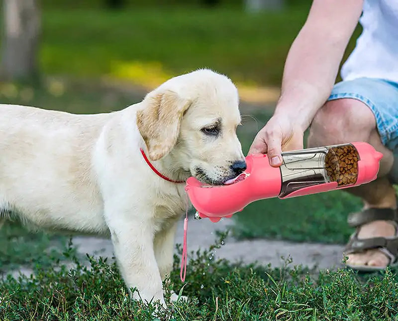 Pet Feeder